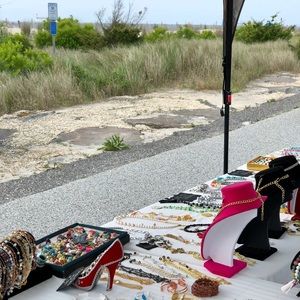 Meet your Posher, Shirley